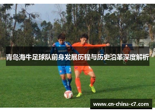青岛海牛足球队前身发展历程与历史沿革深度解析