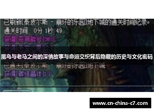 魔鸟与老马之间的深情故事与命运交织背后隐藏的历史与文化密码