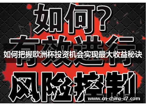 如何把握欧洲杯投资机会实现最大收益秘诀 如何把握欧洲杯投资机会实现最大收益秘诀
