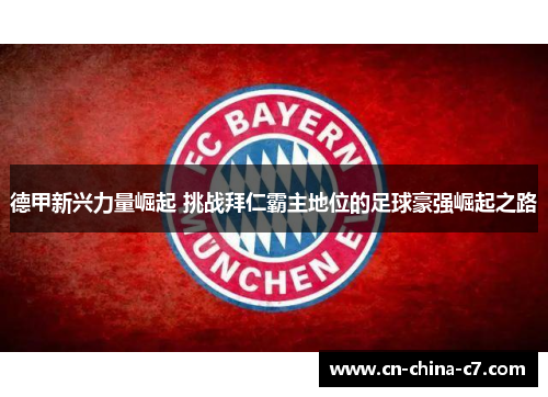 德甲新兴力量崛起 挑战拜仁霸主地位的足球豪强崛起之路 德甲新兴力量崛起 挑战拜仁霸主地位的足球豪强崛起之路